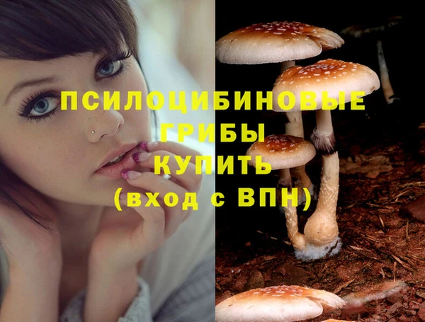 хмурый Киренск