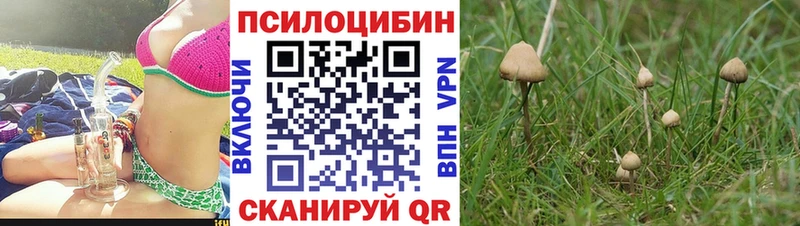 Галлюциногенные грибы мицелий  Ленск 